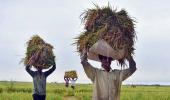 Govt hikes MSP for paddy, okays Rs 50k cr for MSMEs