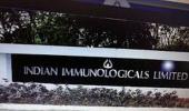 Indian Immunologicals to set up new vaccine plant