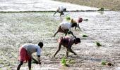 RSS outfit: 'Farm law gives corporates upper hand'