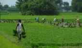 Agri loans not entitled for interest waiver, says govt