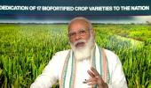 Will Modi's farm reforms ensure food security?