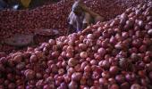 India to import 25,000 tonnes onion before Diwali