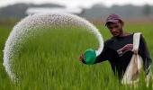 El Nino effect: Agrochem firms may face headwinds