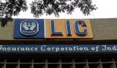 Govt mulls permitting foreign investment in LIC