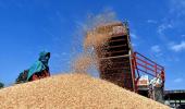 India in sweet spot as commodity prices are on uptick