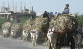 Need to pay remunerative price to farmers: India Inc