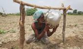 Heat wave hurting farmers' income as yields drop