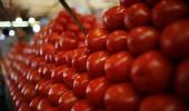 Tomato prices may touch Rs 300/kg in coming days!