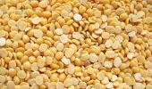 Why govt is importing about 10 lakh tonnes tur dal