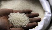 Govt bans exports of non-basmati white rice