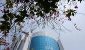 Sebi Tightens Grip Against Fraudulent...