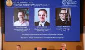 3 'inequality' researchers share 2024 Economics Nobel