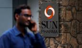 What helped Sun Pharma stay on its feet