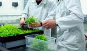 Agri-Research: The Key to Boost Agricultural Future