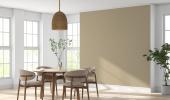 'India's paint market is highly local and competitive'