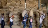 New GDP series to improve informal sector estimates