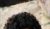 Meet the new chocolate boy of Kannada cinema