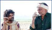 Peepli Live's bumper opening at the box office