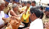 Vijay gifts cows