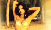 Mallika in a Goddess Lakshmi bikini at Cannes?