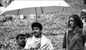 Bala's Paradesi to release in October