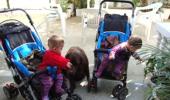 Photo: Celina Jaitly's adorable twins