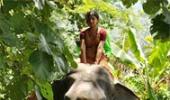 Review: Kumki is brilliant
