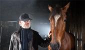 How Steven Spielberg's War Horse came about