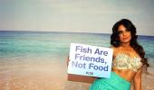 Vote: Bollywood's best PETA model!