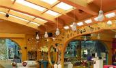 Pictures: Inside the Bigg Boss house