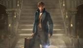 Fantastic Beasts and Where to Find Them Review:The magic is back!