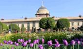 10,000 Tulips, 135 types of roses... Welcome to the Mughal Gardens