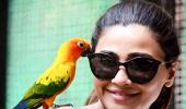 PIX: Check out Daisy Shah's new friends