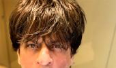 Is this Shah Rukh's next film?