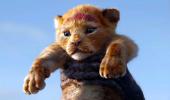 Will Simba become KING of the box office?