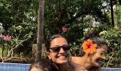 Telly stars have a sexy Goa holiday