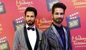 Does Shahid's wax statue look like him? VOTE!