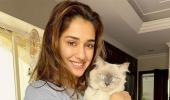 Met Disha and Alia's pets?