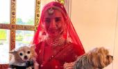 Patralekhaa's Pets Attend Her Wedding