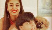 How Shah Rukh-Gauri Fell In Love