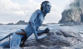 Avatar Earns Huge Rs 128 Crore