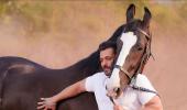 Tiger bonds with a horse