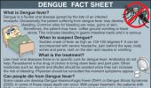 Facts About Dengue