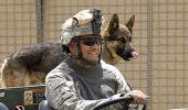 A canine boost for US in Afghanistan