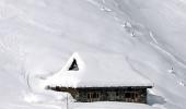 Fresh avalanche in Kashmir Valley kills jawan