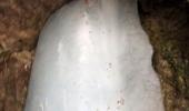 Ice lingam inside Amarnath cave shrine melts! 