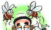 Amid wanna-'bees': It's a family affair