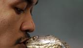 PHOTOS: It's an odd, crazy world out there