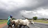 From Bengal's fertile land blows wind of change