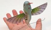 Unveiled: US army's 'hummingbird' spy drone!